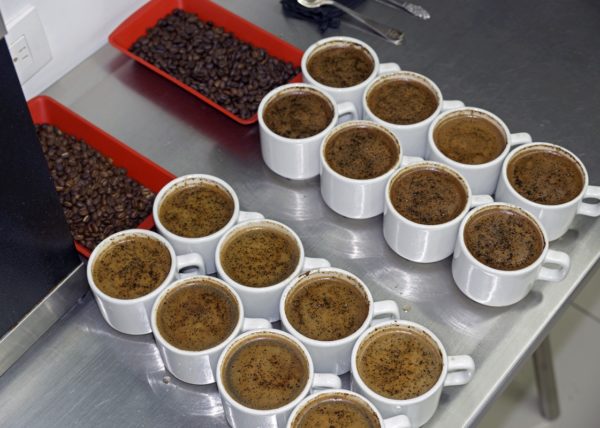 Colombian Coffee Exportadores de Cafe
